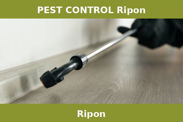 PEST CONTROL Ripon